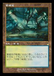 ミントモール / MINT GAMES MTG(東日本橋) / 【RVR】【JPN