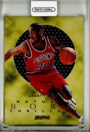 ミントモール / MINT 池袋店 / 1995-96 Fleer E-XL Grant Hill Natural