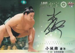 ミントモール / MINT 梅田店 / 2015 BBM 大相撲カード 「至宝