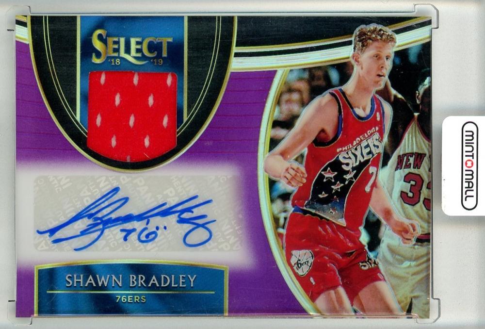 ミントモール / MINT 池袋店 / 201819 Panini Select Shawn Bradley Purple Prizm