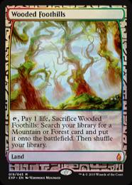 MTG 樹木茂る山麓 エクスペディション日本語版FOIL ミントモール / MINT GAMES MTG(東日本橋) / 【EXP】【ENG