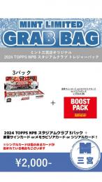 ミント三宮店オリジナル 2024 TOPPS NPB スタジアムクラブ トレジャーパック