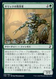 【TSR】【JPN】【Foil】《サリッドの発芽者/Thallid Germinator》