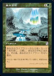 MTG 森の占術 日本語 foil 初版 ミントモール / MINT GAMES MTG(東日本橋) / 【TSR】【JPN】【Foil