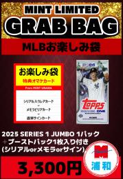 MLB シリアルナンバー入り23枚カードセット MLB 2023 TOPPS SERIES 2 JUMBO BOX 開封。 - 野球カードと私と。