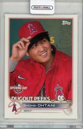大谷翔平　Shohei Ohtani 2022 03071817_67cab9985bbb1.jpg