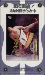 品数豊富！ ミントモール / MINT 千葉店 / BBM 大相撲 2010 貴乃花光司 直筆 その他