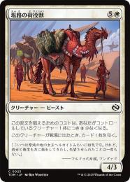 ミントモール / MINT GAMES MTG(東日本橋) / 【TDM】【JPN