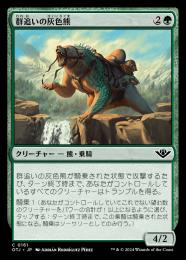 ◆予約◆【OTJ】【JPN】【Foil】《群追いの灰色熊/Drover Grizzly》