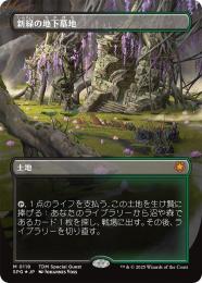 ドラゴンスケイルFOIL】【英】新緑の地下墓地/Verdant Catacombs