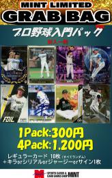 【プロ野球入門パック】立川店オリジナル!プロ野球カード入門パック 4パックセット