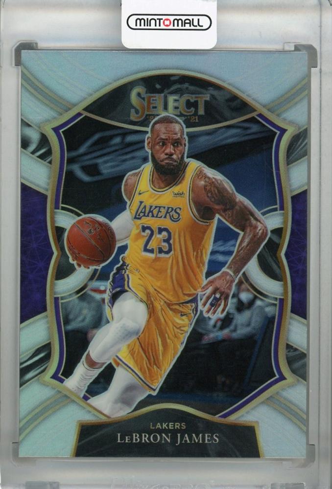 lebron James select silver prizm property-madagascar.com
