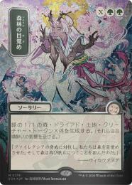 MTG/森林の目覚め/日本画/シルバースクロール・Foil ミントモール / MINT GAMES MTG(東日本橋) / 【SOA】【JPN】【シルバー