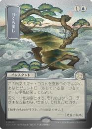 MTG　目くらまし　シルバースクロールfoil ミントモール / MINT GAMES MTG(東日本橋) / ○SALE○【SOA】【JPN