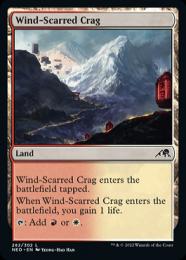 【NEO】【ENG】【Foil】《風に削られた岩山/Wind-Scarred Crag》