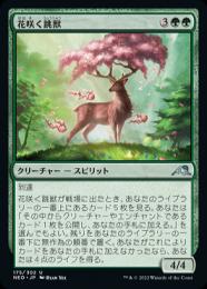 【NEO】【JPN】【Foil】《花咲く跳獣/Blossom Prancer》