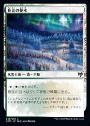 【KHM】【JPN】《極北の並木/Arctic Treeline》