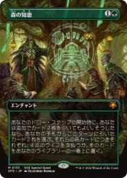 MTG 森の知恵 等 緑カード まとめ売り 引退 モダン バラ売り可 ミントモール / MINT GAMES MTG(東日本橋) / 【SPG】【JPN】【Foil