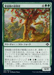 【MH2】【JPN】《果樹園の徘徊者/Orchard Strider》