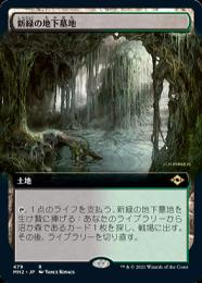 【MH2】【JPN】《新緑の地下墓地/Verdant Catacombs》 拡張アート版