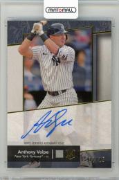 2024 TOPPS Museum Collection Anthony Volpe Archival Autographs Gold #AAAV【12/25】 New York Yankees