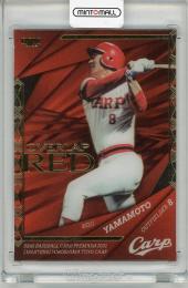 カルビープロ野球カード1981年No.19広島東洋カープ山本浩二 04191756_643facaa08e8e.jpg