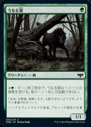 【VOW】【JPN】【Foil】《うなる狼/Snarling Wolf》