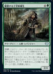 【VOW】【JPN】【Foil】《擬態する士官候補生/Cloaked Cadet》