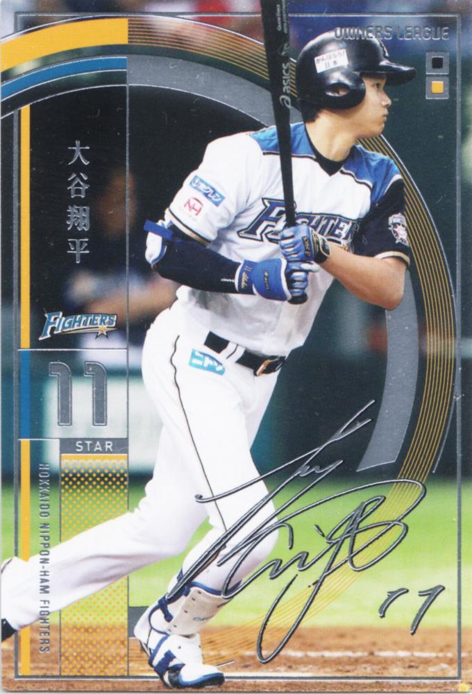 PSA10 大谷翔平 オーナーズリーグ2015 GR | labiela.com