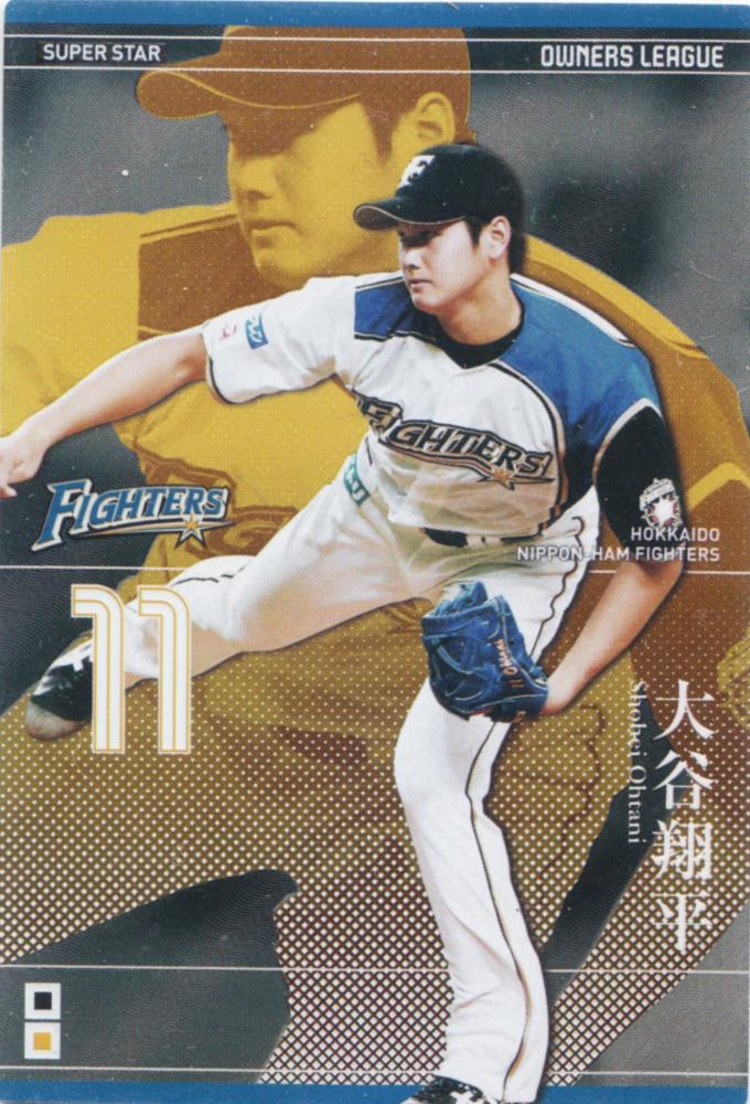大谷翔平 オーナーズリーグ プロ野球チップス psa BBM 野球カード
