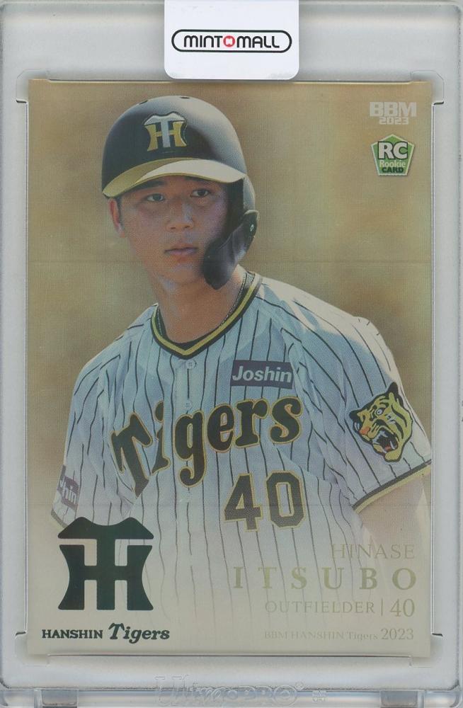 阪神タイガース BBM 2023 井坪陽生