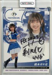 格安BBM 2023 チアリーダーカード 直筆サインカードセット bbm 2023 チアリーダー ファイターズガール 直筆サインカードセット