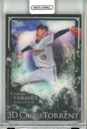 球団イベント景品❗️山岡泰輔選手・直筆サイン入り写真 2026年最新