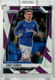 2024-25 Panini Prizm Premier League James Garner Base  Purple and White Stripes Prizms Parallel【78/92】 Everton