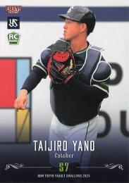 2025 BBM 東京ヤクルトスワローズ #S37 矢野泰二郎 レギュラーカード RC