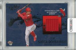 BBM 2012 広島東洋カープ　堂林翔太　バットカード　/100 TP-4 【堂林翔太/広島東洋カープ】Topps 2025 NPBベースボール