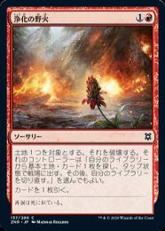 【ご確認用】トーメント foil 激発 日本語 1枚　MTG ミントモール / MINT GAMES MTG(東日本橋) / 【ZNR】【JPN】【Foil