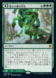 MTG 変わり樹の共生 拡張foil ミントモール / MINT GAMES MTG(東日本橋) / 【ZNR】【JPN】【Foil