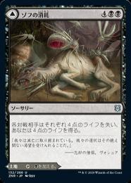 【ZNR】【JPN】【Foil】《ゾフの消耗/Zof Consumption // Zof Bloodbog》