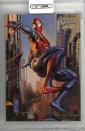 1996スパイダーマン トレカ95枚+レア5枚 セミコンプ FLEER ヴェノム 06031238_647ab5bdd497b.jpg