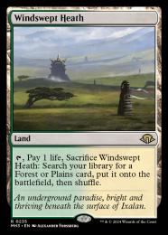 MTG 吹きさらしの荒野　foil FOIL)吹きさらしの荒野/Windswept Heath(KTK)(日本語)※状態NM