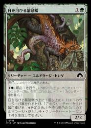 ミントモール / MINT GAMES MTG(東日本橋) / 【MH3】【JPN