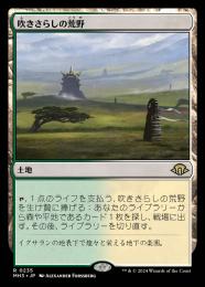 ミントモール / MINT GAMES MTG(東日本橋) / 【MH3】【JPN】〈235-R-L