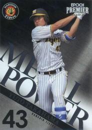 阪神タイガース ミントモール / MINT BASE店 (TCシングル通販) / 2023 EPOCH 阪神