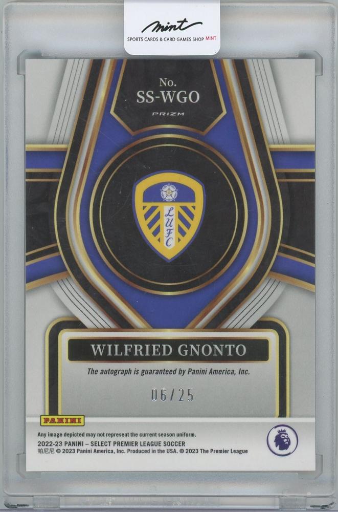 ミントモール / MINT 横浜店 / 202223 PANINI Select English Premier League