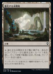 【CLB】【JPN】《進化する未開地/Evolving Wilds》