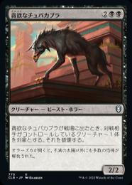 ミントモール / MINT GAMES MTG(東日本橋) / 【CLB】【JPN】《貪欲な