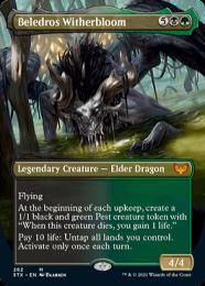 mtg ベレドロス・ウィザーブルーム　英語　拡張　foil ミントモール / MINT GAMES MTG(東日本橋) / 【STX】【ENG】【Foil