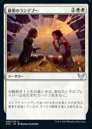 MTG 秘密のランデブー　サージfoil 日本語 ミントモール / MINT GAMES MTG(東日本橋) / 【STX】【JPN