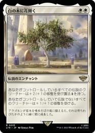 MTG グレートヘンジ　日　foil 誕生祝いの木 EX+](サージFOIL)(378)誕生祝いの木/The Party Tree // グレート